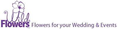 DeepFocus Logo
