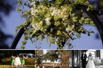 {Magnolia Plantation Carriage House} A HOT Dress & With a Side of Kale