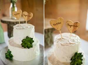 Cake with Succulents