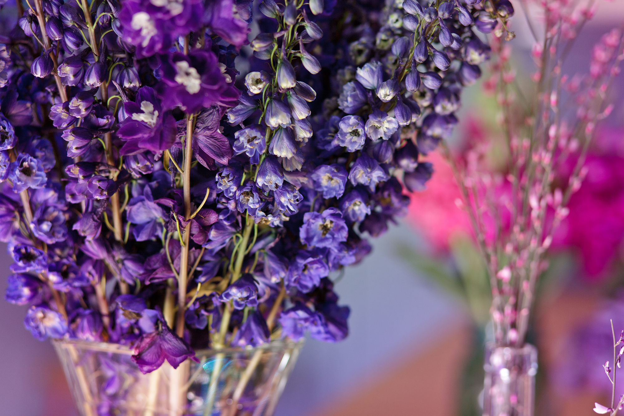 Magnolia Plantation Wedding | WildFlowersinc.com, image size:2000x1333