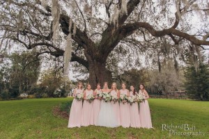 Brides and Bridesmaids